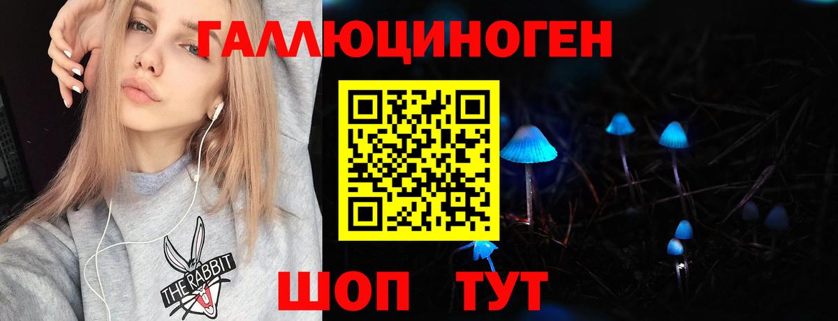 Галлюциногенные грибы Cubensis Новошахтинск